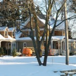 bdsnow1