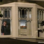 Hayden Panettierre in window